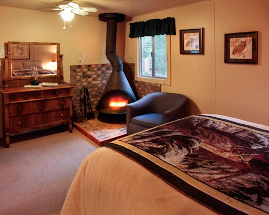 Silver Pines Lodge Idyllwild Buitenkant foto